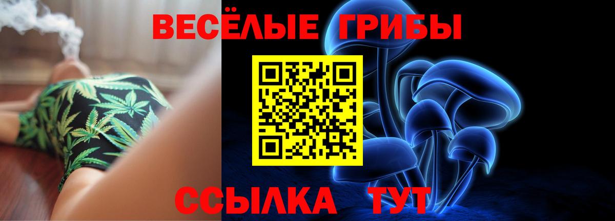 Наро-Фоминск  Галлюциногенные грибы MAGIC MUSHROOMS  Вход с VPN  Галлюциногенные грибы Psilocybe 